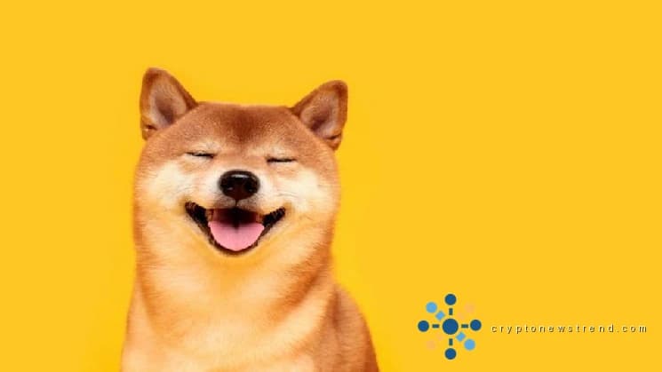 Memecoins dogecoin, shiba inu dive 9% as bitcoin nears $60,000