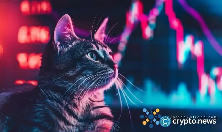 NEAR 50% weekly rally crowns altcoin enters ‘holy trinity’ trade