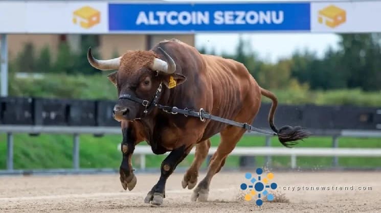 Analysts Forecast When the Next Altcoin Season Will Arrive