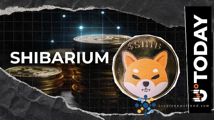 Shiba Inu's Shibarium Fees Near $0, What's Happening on Network?