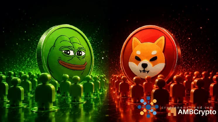 Holder growth lifts PEPE and SHIB sentiment – More gains ahead IF…
