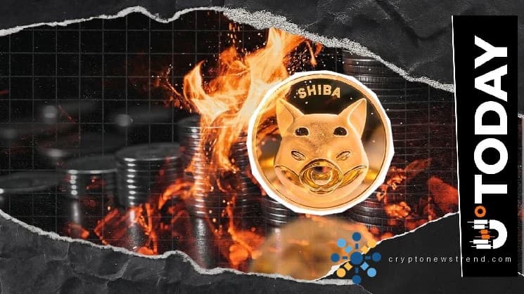 Massive SHIB Purge: Nearly 20 Million Coins Vanish, Triggering Astronomical 159% Burn Rate Surge