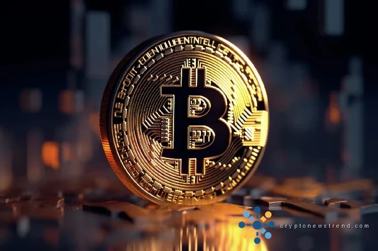Mysterious Litigant Emerges to Stake Claim on Massive Bitcoin Fortune