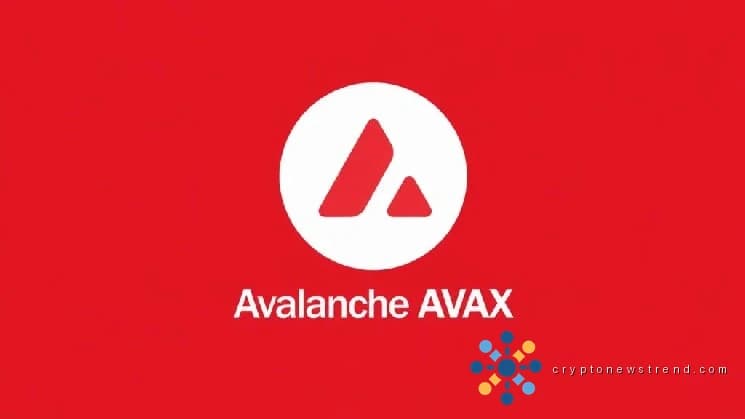 Under-the-Radar Developments: Uncovering Recent Advances in the AVAX Ecosystem