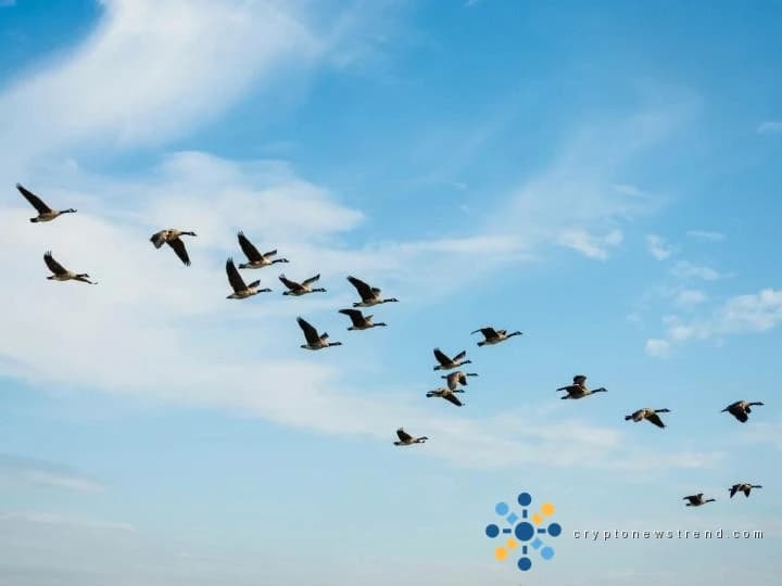 The $700 million migration: Why Solv Protocol is ditching LayerZero for Chainlink