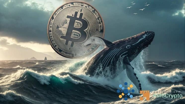 Bitcoin whales scoop 4,527 BTC in 24 hours – Will $84.9K be next?