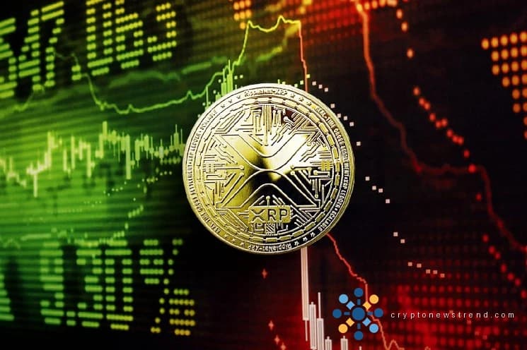 XRP Prints Bullish Divergence as Ripple CTO Emeritus Disproves 'Company Sale' Rumors