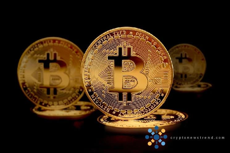 Wealthy players leave indelible mark on cryptocurrency's trading landscape
