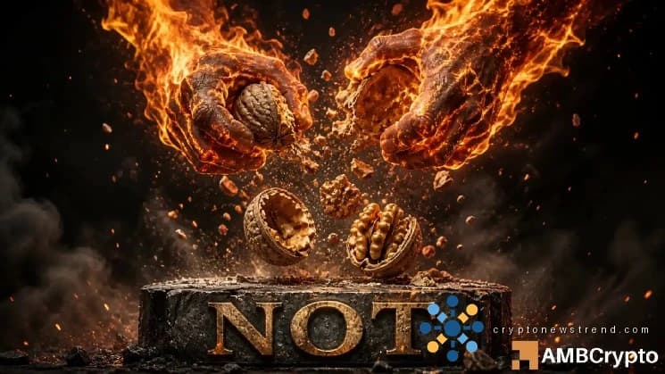 Notcoin breaks 89-day range – But THESE signals raise bull trap risks