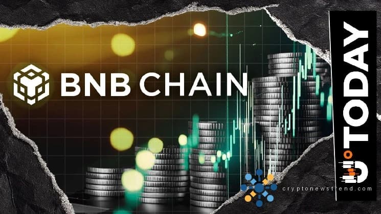 BNB Chain Leads in Onchain Activity as Active Addresses Hit 50 Million