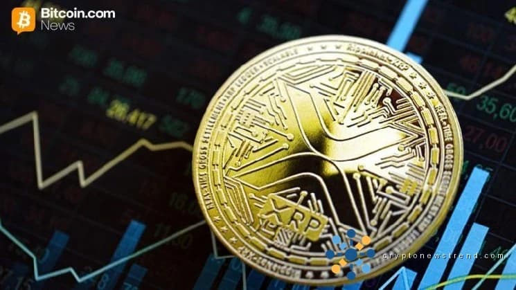 Ripple's Distinct Advantage: CEO Reveals the Key Differences that Set XRP Apart