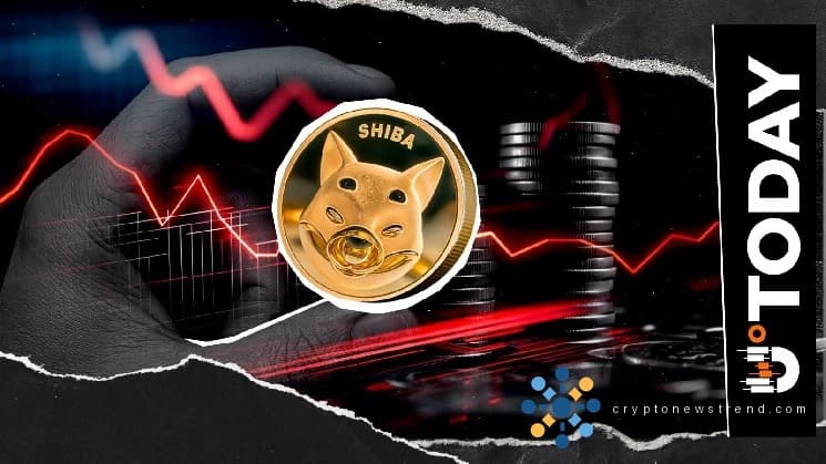 Massive SHIB Exodus Underway as Nearly 400 Billion Coins Vanish from Trading Platforms