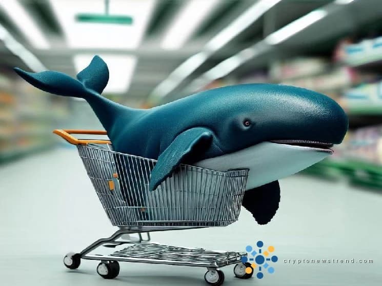 Big Whale Dumps Altcoin, Triggering Price Plunge