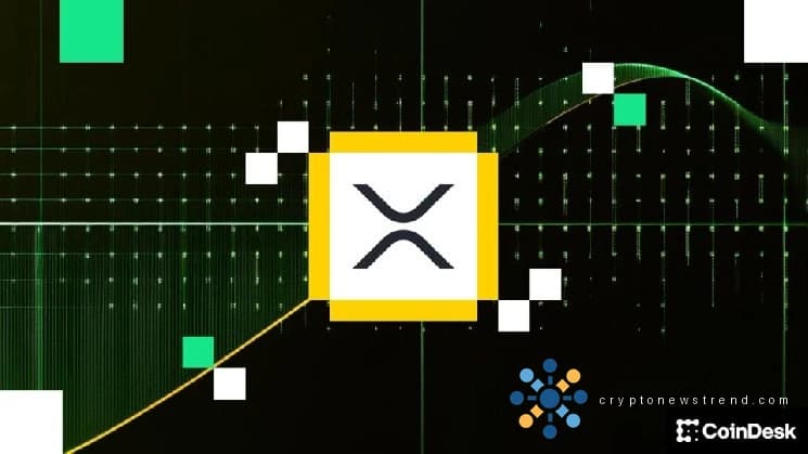 Spot XRP ETFs attract biggest inflows since January
