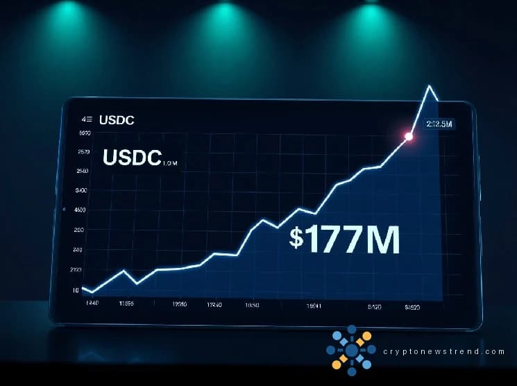 Hyperliquid USDC Daily Net Inflow Hits 10-Month High, Surpassing $173 Million