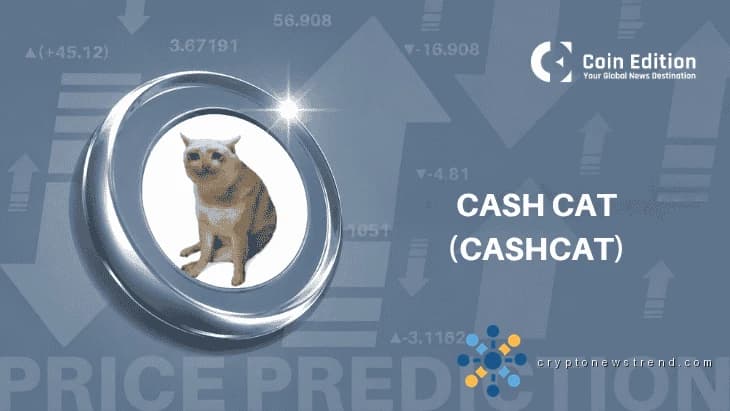 Cash Cat 355% OI Spike: New Rally or Peak?