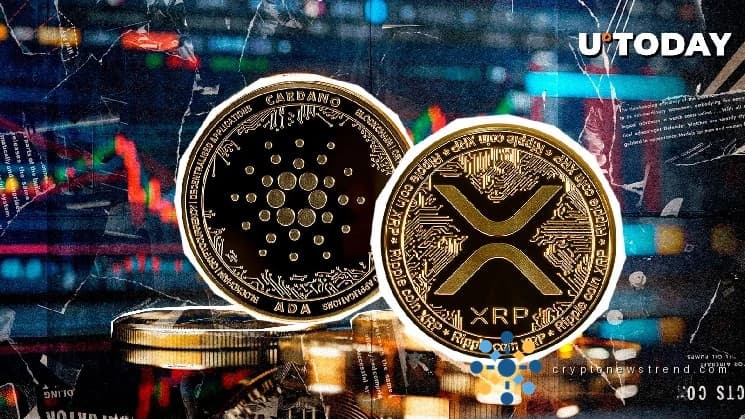 XRP and ADA Get Boost From CME